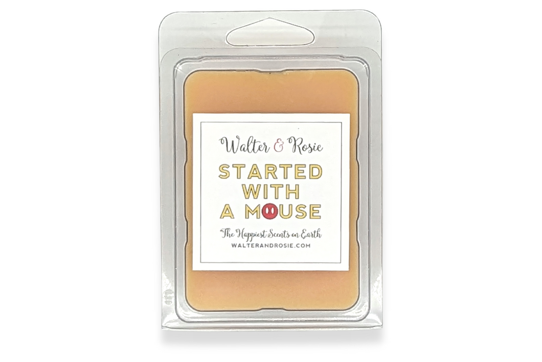 Started with a Mouse Wax Melt