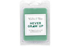 Never Grow Up Wax Melt
